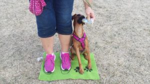Sabine mit Rookie