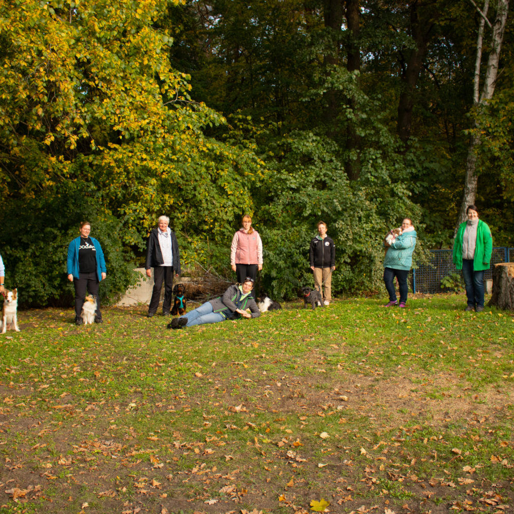 Begleithundeprüfung 2020 Ergebnisse