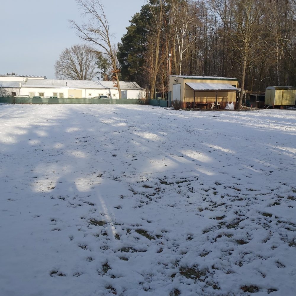 Bilder für das Archiv